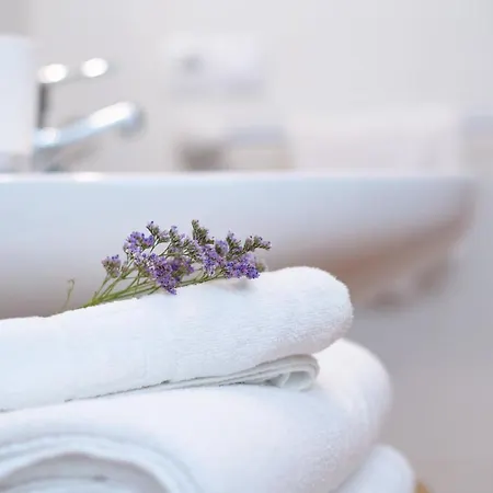 Vista Lobos Entre Volcanes Y Oceano *