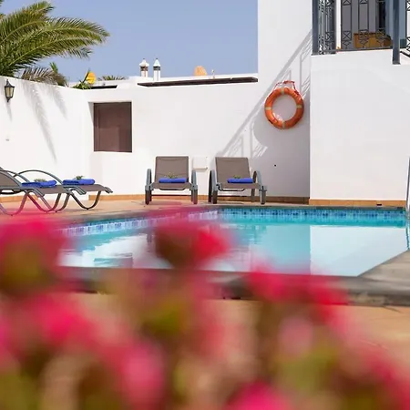 Vista Lobos Entre Volcanes Y Oceano *